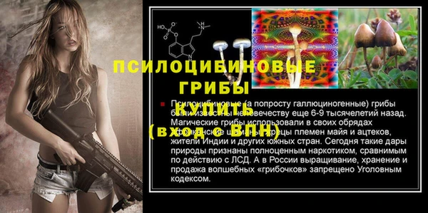 ешки Балахна