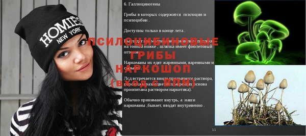ешки Балахна