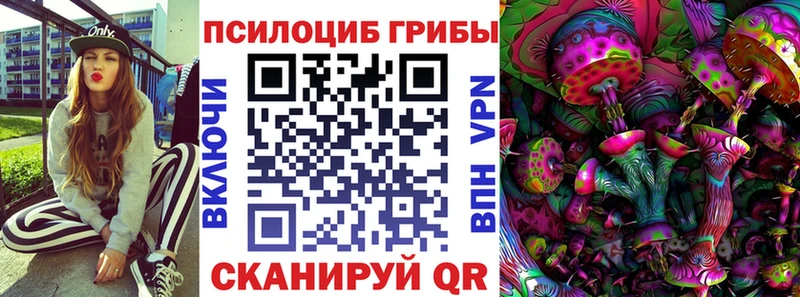 купить наркотик  Тихвин  Псилоцибиновые грибы мухоморы 